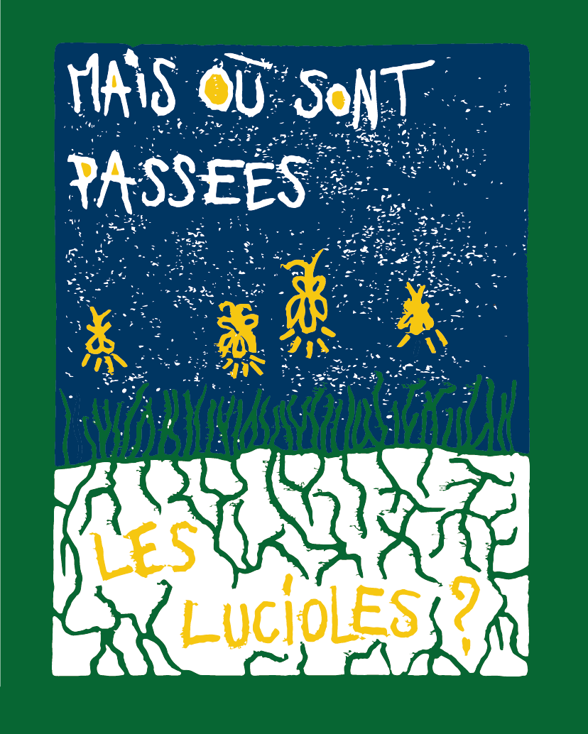 14. Mais où sont passées les lucioles ?